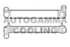 AUTOGAMMA 107474 Intercooler, charger